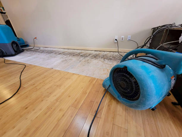 Professional Structural Drying technician working in Glencliff, NH